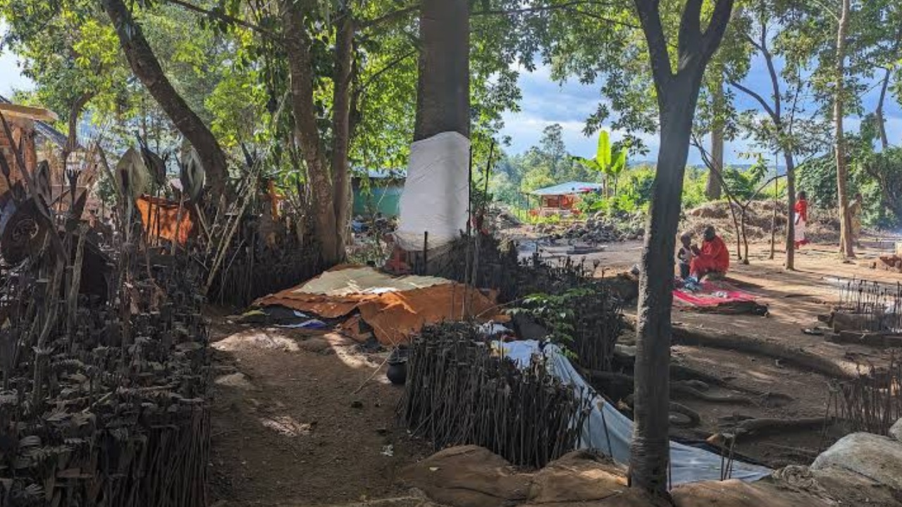 Sacred outdoor shrine grove with ancient spirit trees, ceremonial iron altars and sacred offerings